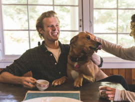 Holiday Travel with Pets