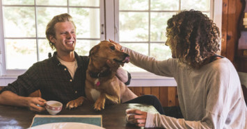 Holiday Travel with Pets