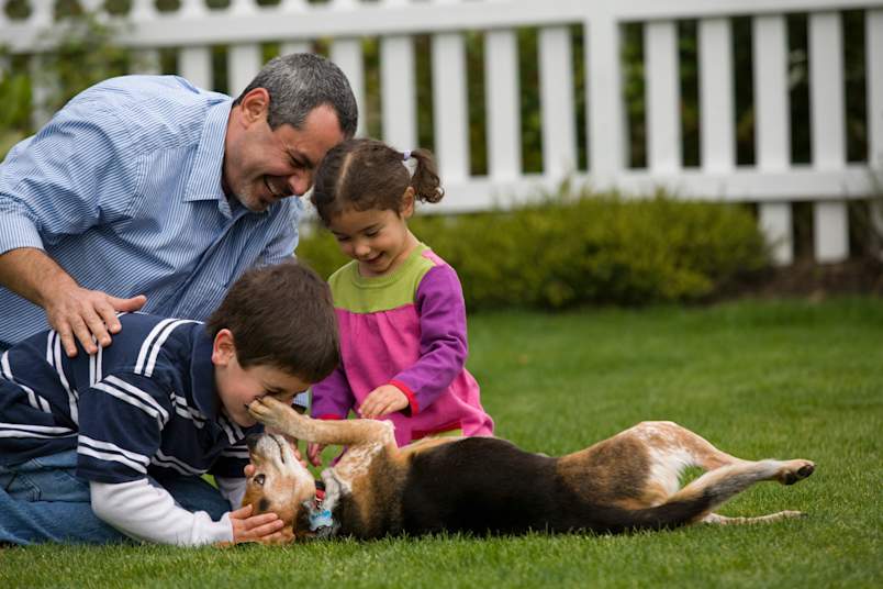 A laughing father and his two young children kneel on a green lawn, delighting in playtime with their tricolor hound mix rolling happily in the grass. Unstructured family play like this is a natural form of dog enrichment — but pairing it with intentional brain games for dogs takes mental stimulation even further.