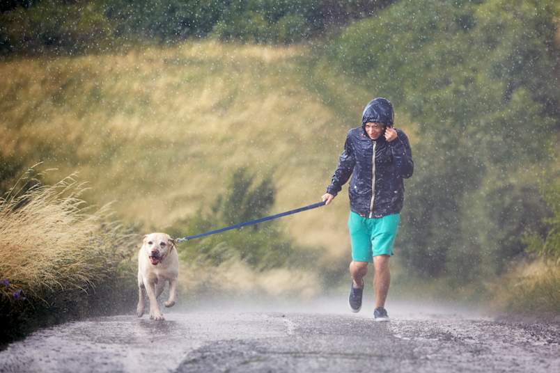 A man in a navy rain jacket and teal shorts runs down a rural path with his yellow Labrador Retriever during a heavy downpour. Despite the soaking rain, the dog runs ahead with mouth open and tail up, while the owner holds the leash and pulls his hood tight. 