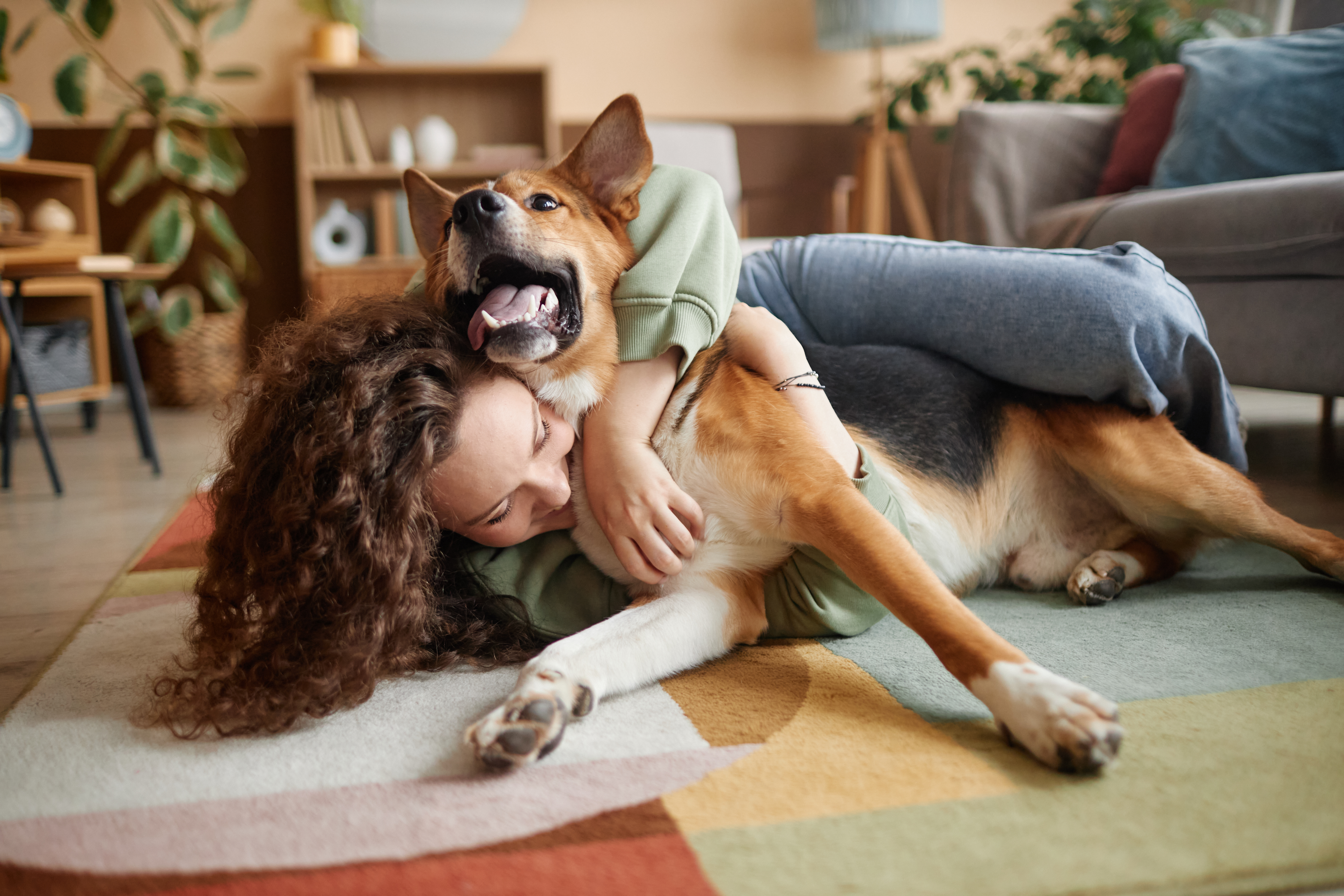  A woman with curly hair laughs as her large, tan-and-white dog sprawls across her on a colorful area rug in a cozy, well-decorated apartment — a heartwarming snapshot of what life with big dogs for apartments really looks like. 
