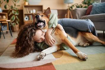 A woman with curly hair laughs as her large, tan-and-white dog sprawls across her on a colorful area rug in a cozy, well-decorated apartment — a heartwarming snapshot of what life with big dogs for apartments really looks like. 