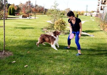 A woman in a black shirt and blue jeans plays an engaging game of fetch with her Australian Shepherd in a sunny green park, providing mental stimulation for her dog through interactive play.