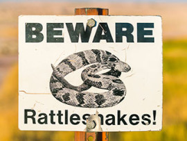 rattlesnake warning sign