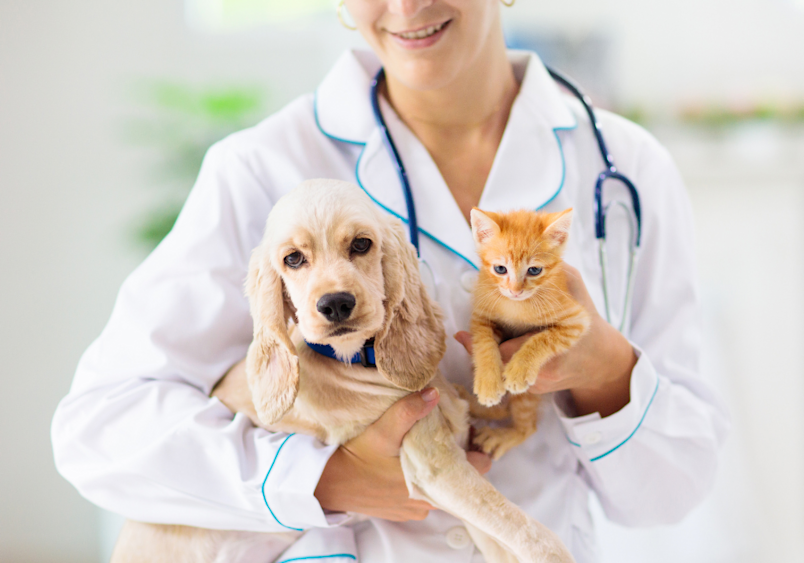 A smiling veterinarian in a white coat holds both a golden Cocker Spaniel puppy and an orange kitten, demonstrating how vet visit cost can vary between different types of pets during routine check-ups.