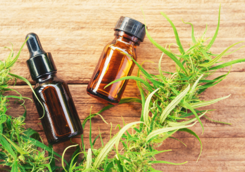 CBD oil bottles surrounded by hemp plants, illustrating the potential benefits and safety of CBD for pets, including dogs and cats.