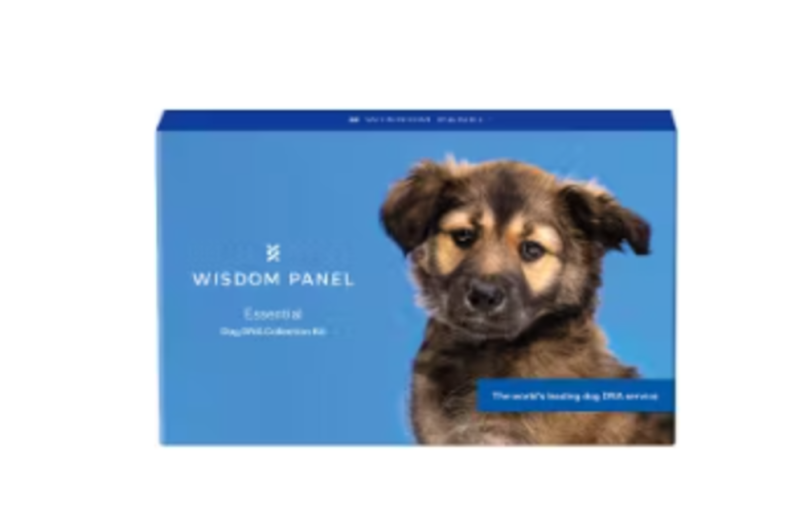Dog DNA Test gift idea for dog lovers