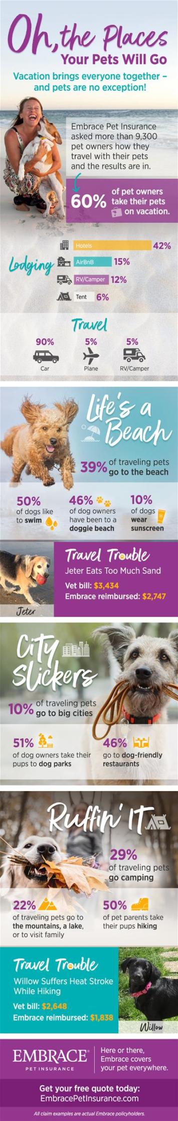 Pet-Travel-Infographic