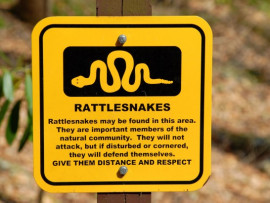 Yellow sign outdoors warning people that rattlesnakes are in the area