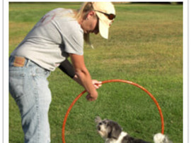 Teach Your Dog to Jump Through Hoops