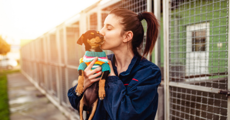 buying a puppy from a pet store