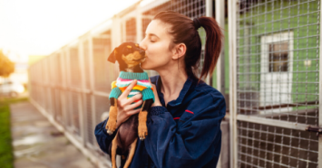 dog getting adopted from pound