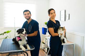 Two smiling veterinarians in navy scrubs pose with a border collie and a tabby cat in a bright, welcoming clinic. Most vet visits go smoothly — but when they don't, it's important to know your options. Veterinary malpractice occurs when a veterinarian's negligence causes harm to your pet, and understanding veterinary malpractice examples can help you recognize when something went wrong.