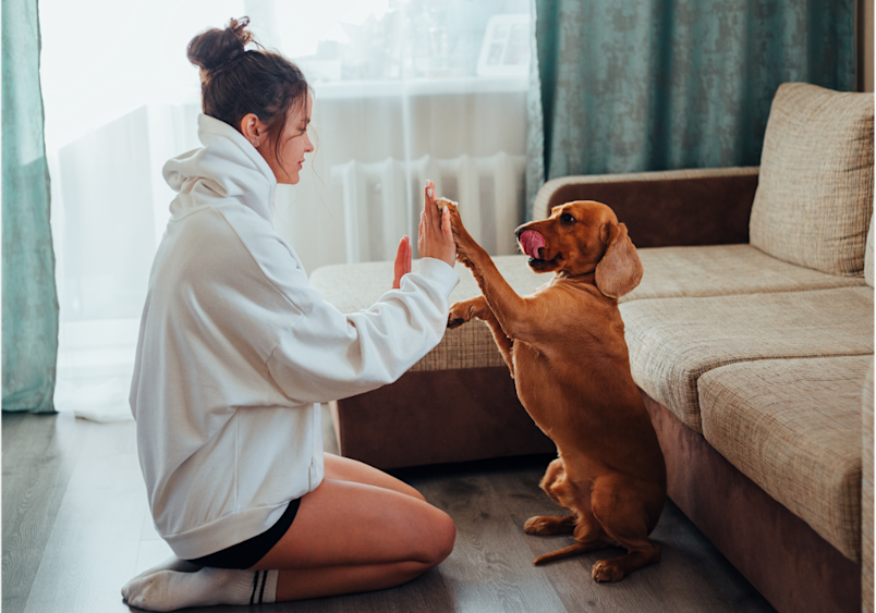 A woman enjoys quality indoor time with her dachshund, demonstrating how exercise for dogs can be adapted when outdoor air quality is poor or allergen counts are high.