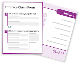 illustration of a wellness claim form