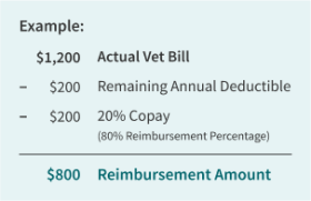 example of how a deductible then copay reimbursement works