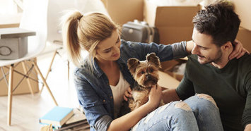 good apartment dogs