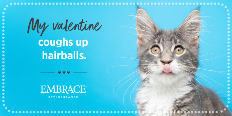 Meme for Valentine's Day that reads "My valentine coughs up hairballs." Picture of a gray and white kitten to the right of the text.