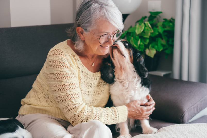 Dog kissing its senior owner