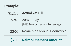 copay after deductible meaning
