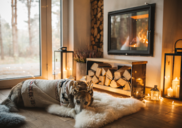 Do dogs get cold in winter? This image shows exactly why they do - a dog bundled in a blanket seeking warmth by a fireplace, surrounded by lanterns and firewood, while cold weather is visible through the windows.