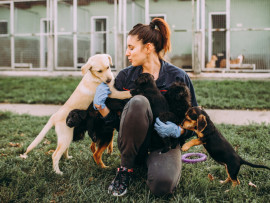 Puppy with owner