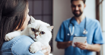 woman with dark hair holding a white cat at veterinarian office