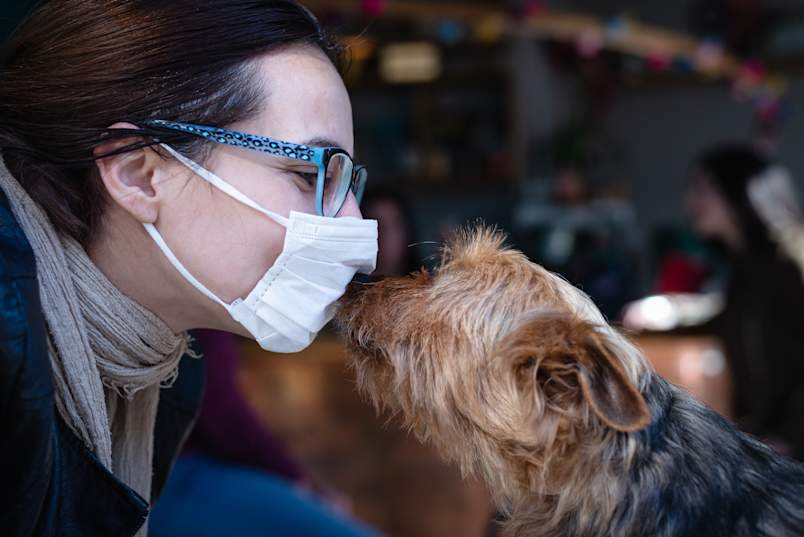  A woman in glasses and a white face mask shares a tender nose-to-nose moment with a scruffy little terrier — a powerful image of what it looks like to love your dog through allergies rather than letting them come between you. 