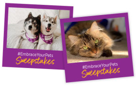 photo examples of #EmbraceYourPets Sweepstakes entries