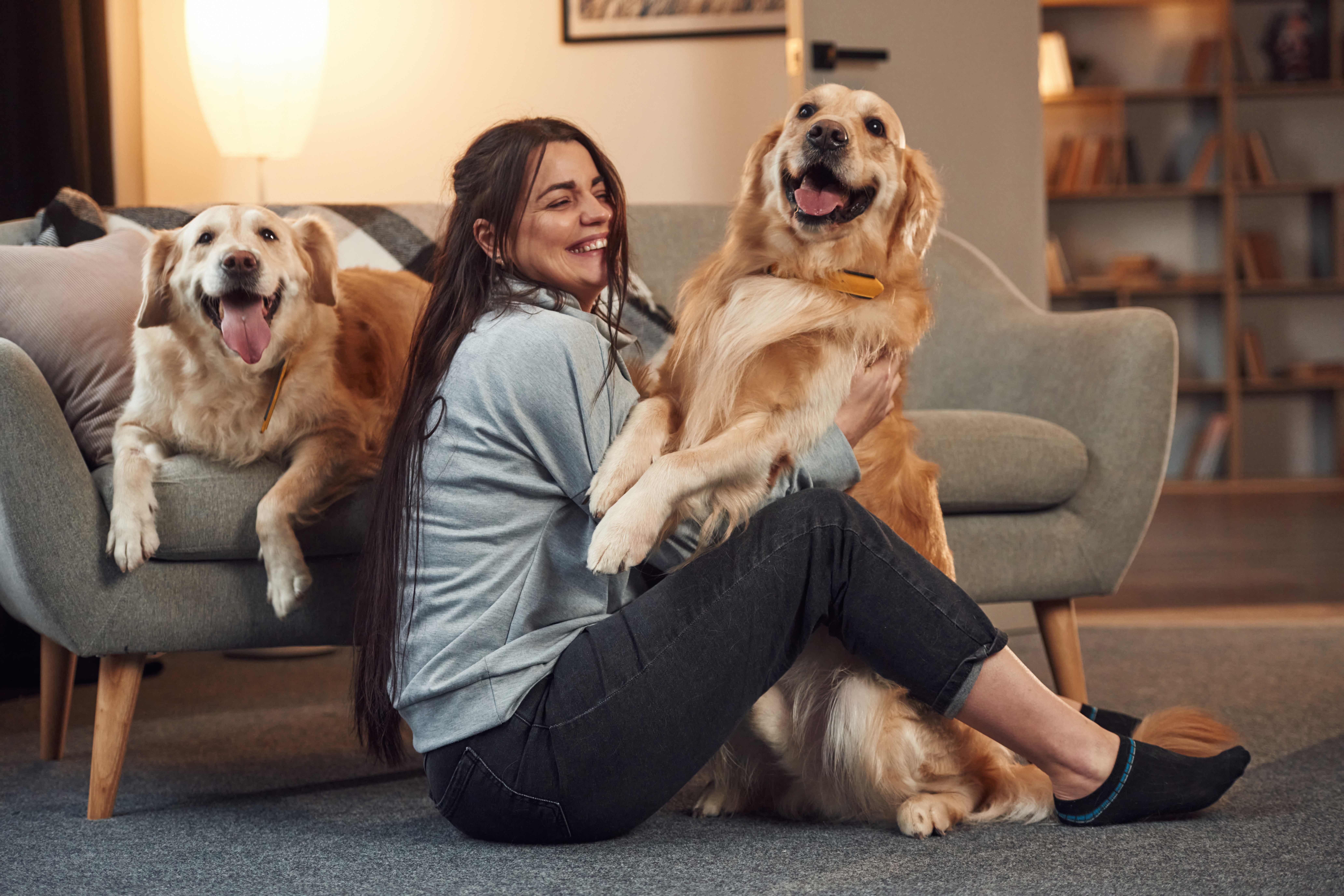 A woman sits on the living room floor between two golden retrievers, laughing as one leans into her lap and the other rests on the couch behind her.