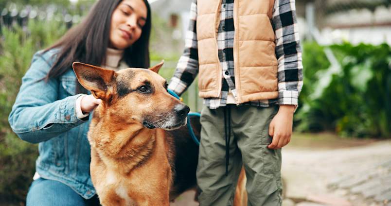 A woman crouches down to pet a tan German Shepherd on a leash while a child stands nearby outdoors — large breed dogs like German Shepherds are at increased risk for GDV and may benefit from preventive gastropexy