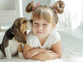 Little girl with Beagle puppy
