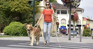 woman with a seeing eye dog in the crosswalk