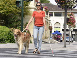 woman with a seeing eye dog in the crosswalk