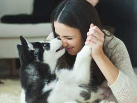 How to Become a Pet Sitter