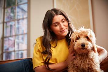 A pet owner sitting with their dog teaching them not to bark