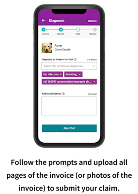 filing a claim on an iPhone through the MyEmbrace portal