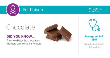 pet poison: chocolate