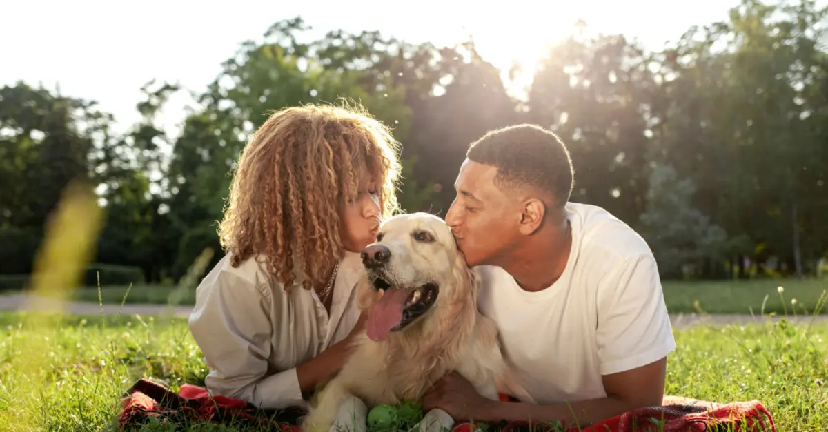 Dog dna online testing price