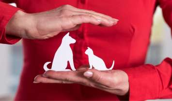 what does pet insurance cover