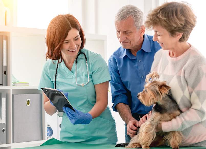 A veterinarian in teal scrubs reviews clipboard notes with a smiling older couple and their Yorkshire Terrier during a clinic visit. Moments like this are exactly when a working knowledge of veterinary terminology matters most. 