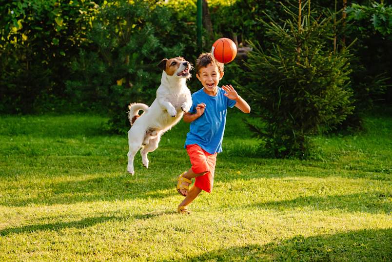 A young boy and his Jack Russell Terrier leap joyfully through a thick, green backyard lawn — proof that learning how to grow grass with dogs is absolutely possible with the right approach. 