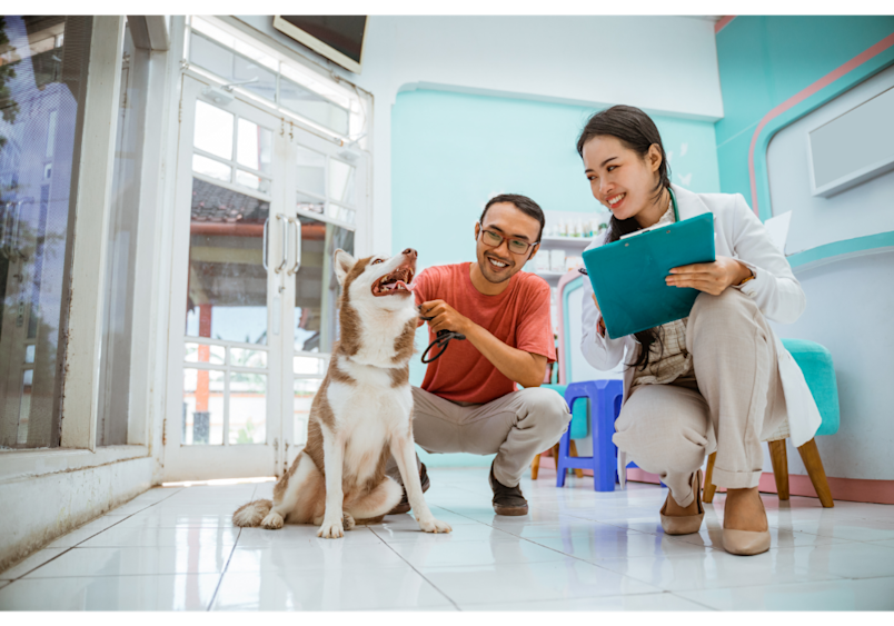A veterinarian consults with a pet owner about their Husky's dietary needs in a modern clinic setting, demonstrating professional guidance essential when changing dog food. 