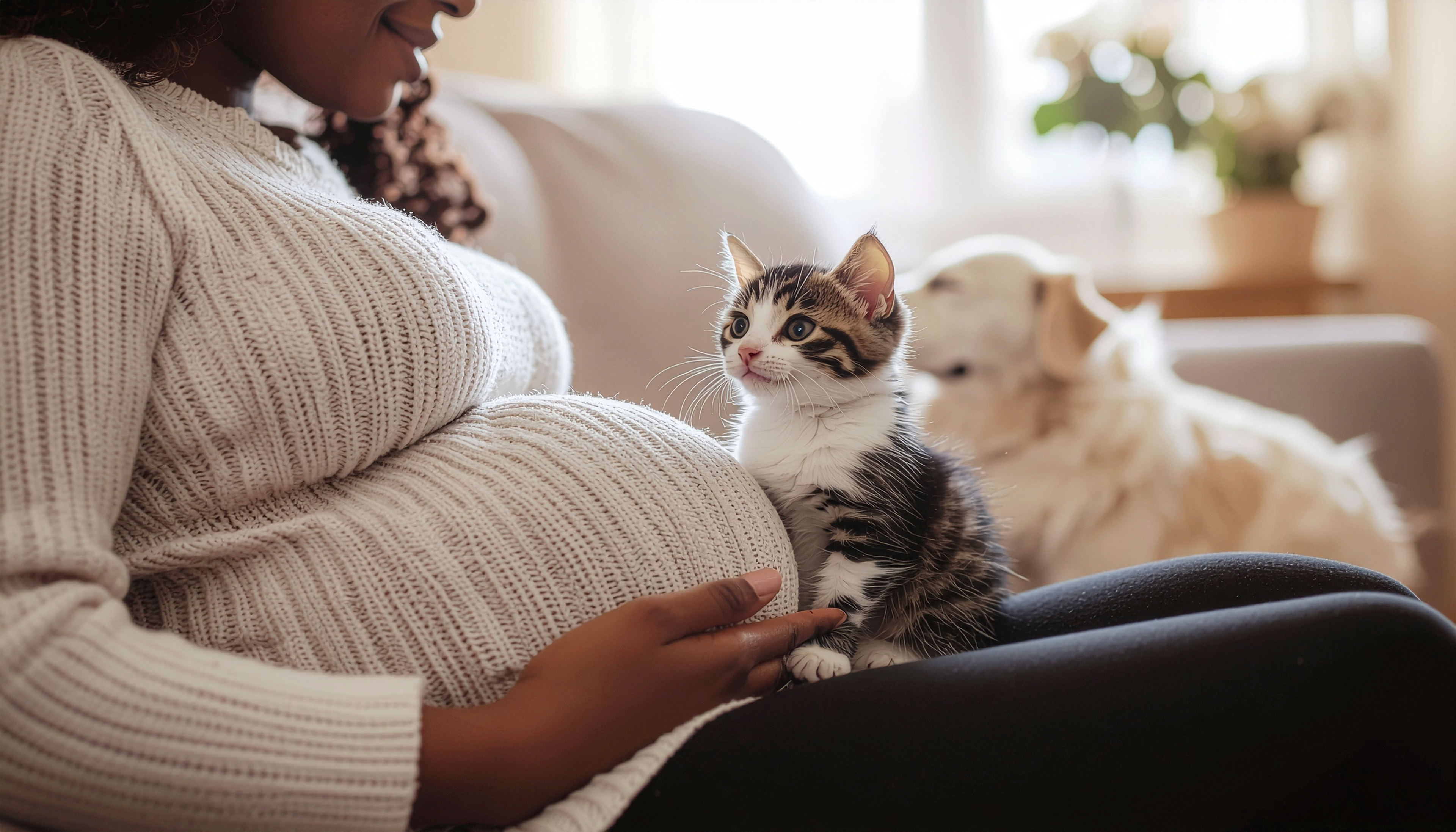 Title: Cats and Pregnancy: What Expecting Mothers Need to Know About Living with Pets
Description: A pregnant woman relaxes on the couch with an adorable tabby kitten perched beside her baby bump while a dog rests softly in the background — a warm snapshot of what life looks like for many expecting pet parents navigating pets and pregnancy. 