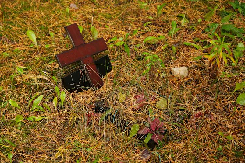 A simple wooden cross marker stands solemnly among fallen pine needles and emerging green foliage, marking a beloved pet's final resting place in a quiet backyard setting. This natural burial site represents one meaningful answer for pet owners asking whether to bury or cremate pet family members.