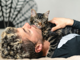 Emotional support cat cuddling with owner