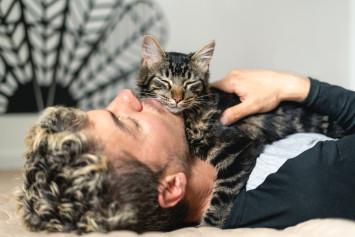 Emotional support cat cuddling with owner