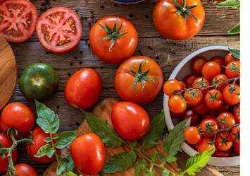 Fresh, ripe tomatoes of various types including large beefsteak tomatoes (some sliced to show juicy interior), a green unripe tomato, and clusters of bright red cherry tomatoes on the vine are artfully arranged on a rustic wooden surface with vibrant tomato leaves scattered throughout, demonstrating the different forms of tomatoes that pet owners should be cautious about feeding to dogs due to potential toxicity concerns, particularly in unripe forms and leaves.