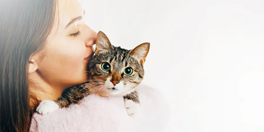 How to Teach Your Cat to Enjoy Being Held