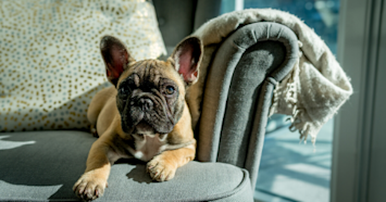 Untitled design (65)